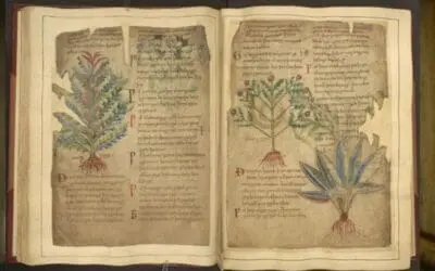 Medical innovations from the Middle Ages make a digital comeback