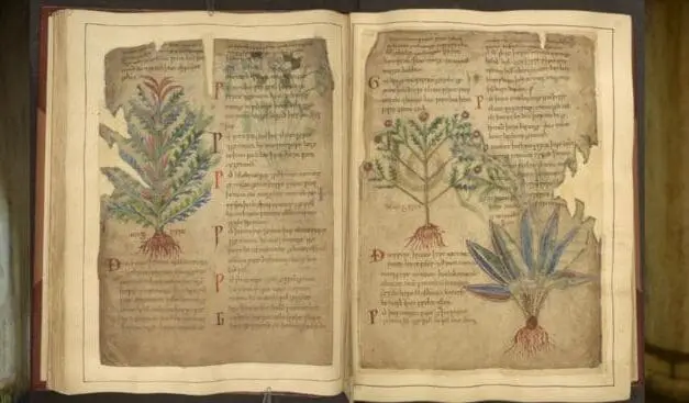 Medical innovations from the Middle Ages make a digital comeback