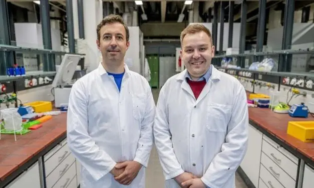 Complex of active substances revolutionizes the fight against cancer: immune system learns to destroy metastases