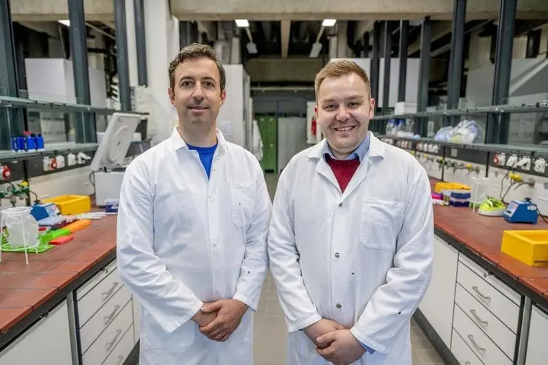 Complex of active substances revolutionizes the fight against cancer: immune system learns to destroy metastases