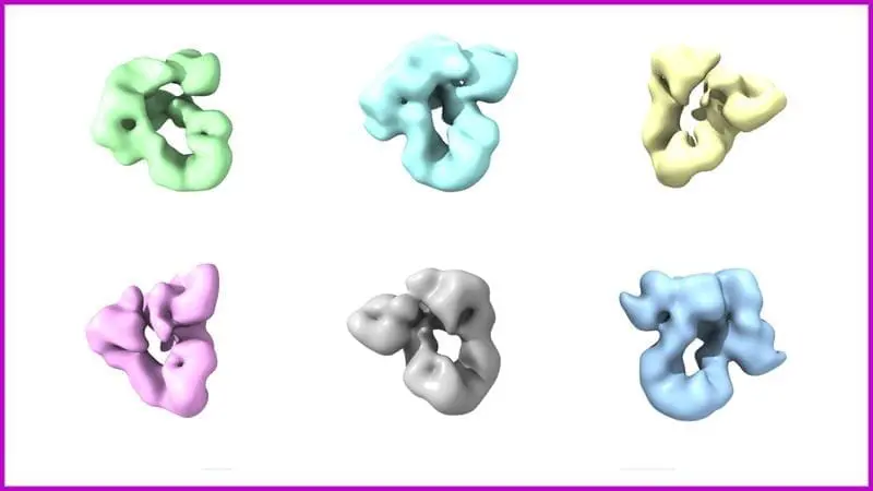 Central mechanism of protein folding decoded