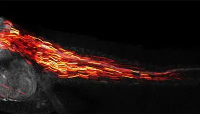 Pythia revolutionizes precise gene editing with AI support