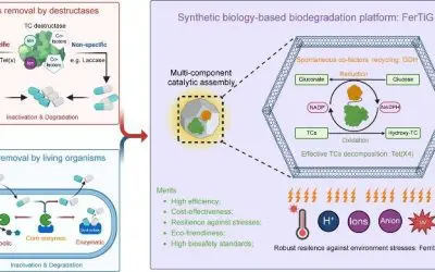 FerTiG: Innovative process for the degradation of antibiotics in water bodies