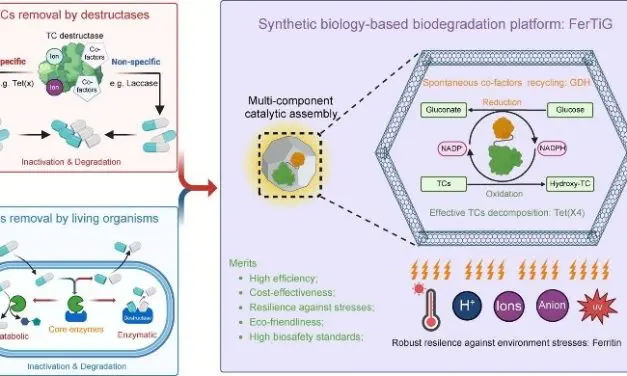FerTiG: Innovative process for the degradation of antibiotics in water bodies