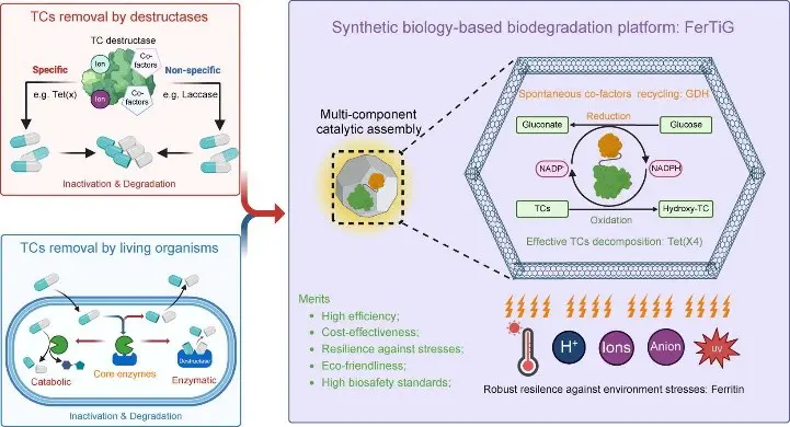 FerTiG: Innovative process for the degradation of antibiotics in water bodies