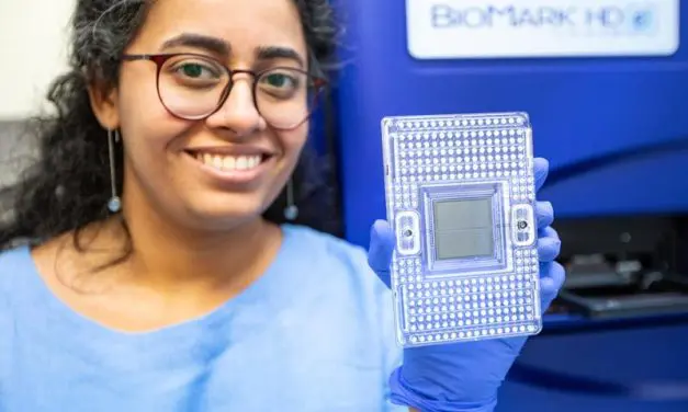 International study by MHH identifies new risk factors for endometrial cancer