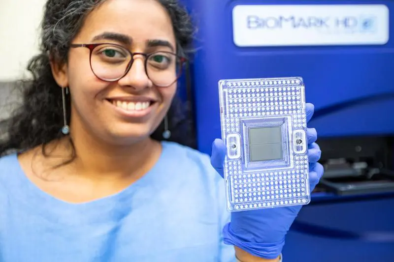 International study by MHH identifies new risk factors for endometrial cancer