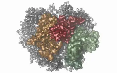 New insights into molecular machines through biophysical methods