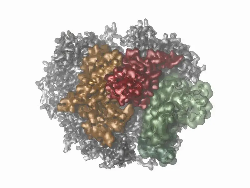 New insights into molecular machines through biophysical methods