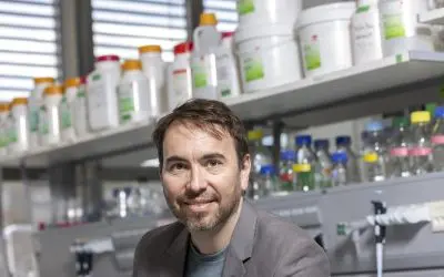 TU Graz develops method for the precise design of artificial proteins