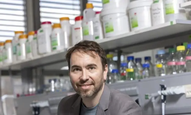 TU Graz develops method for the precise design of artificial proteins