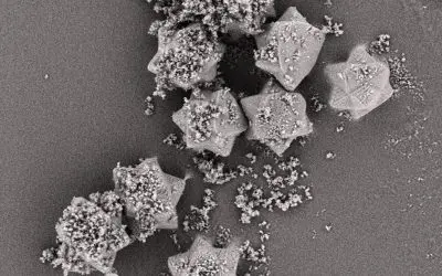 New carrier particles improve inhalation drugs