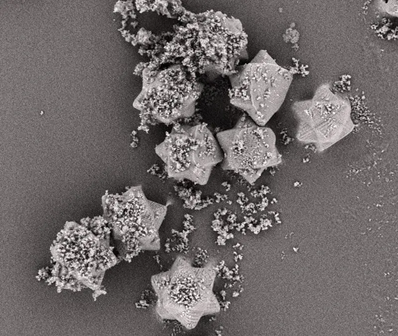 New carrier particles improve inhalation drugs