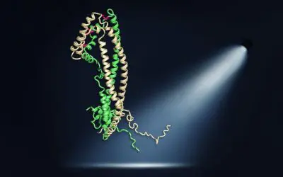 Breakthrough in Alzheimer’s research: Structure of clusterin deciphered