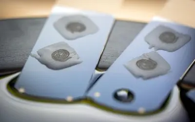 Gut microbiome may promote cancer