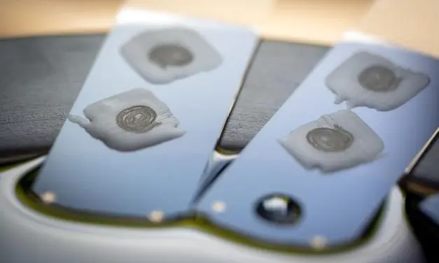 Gut microbiome may promote cancer