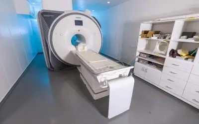 Brain processes colors similarly in all people