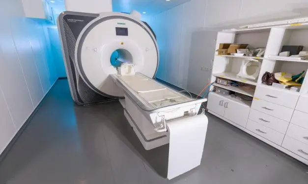 Brain processes colors similarly in all people