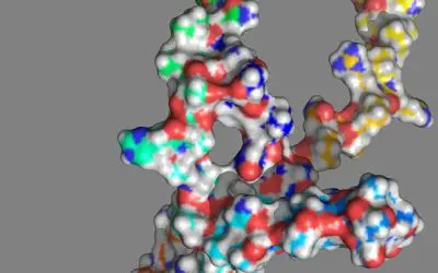 Mutation in the NOTCH1 gene influences aggressive course of blood cancer