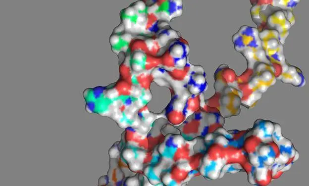 Mutation in the NOTCH1 gene influences aggressive course of blood cancer