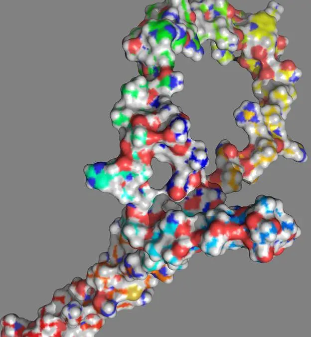 Mutation in the NOTCH1 gene influences aggressive course of blood cancer