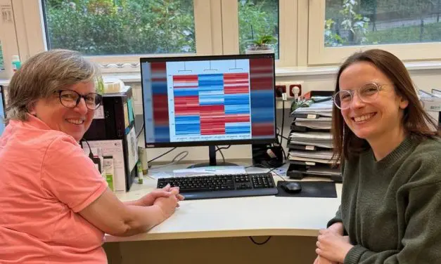 Study on anorexia nervosa: Epigenetic effects are absent despite weight gain