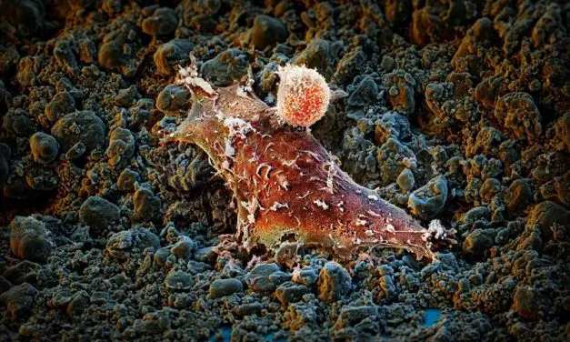 New molecule could revolutionize cancer therapies