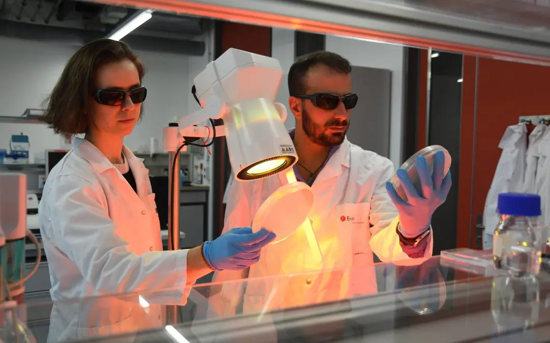 Antibiotic resistance: “The new material is designed to kill microorganisms locally and quickly”