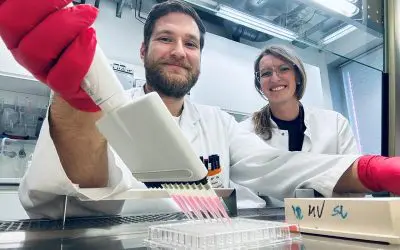 Sphingolipids control formation of coronavirus replication organelles