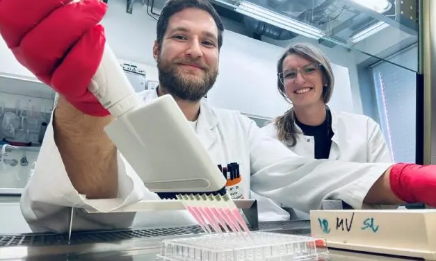 Sphingolipids control formation of coronavirus replication organelles