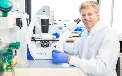 Cells convert viral sabotage into effective defense