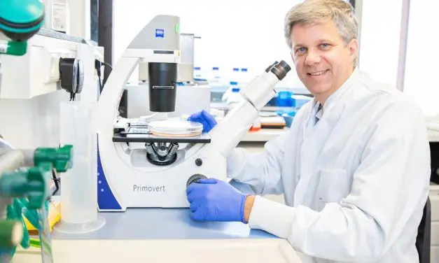 Cells convert viral sabotage into effective defense