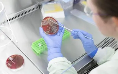 New microarray platform detects vaccine gaps and resistance with a drop of blood