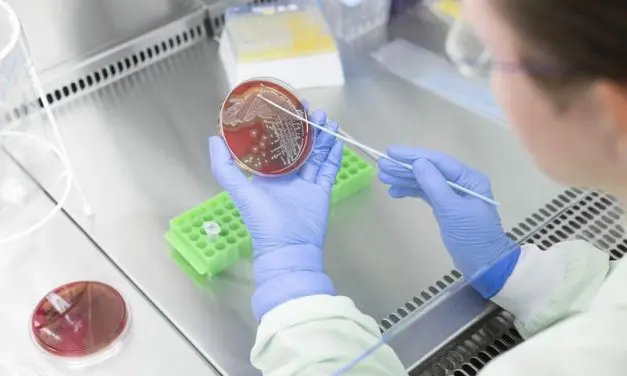 New microarray platform detects vaccine gaps and resistance with a drop of blood