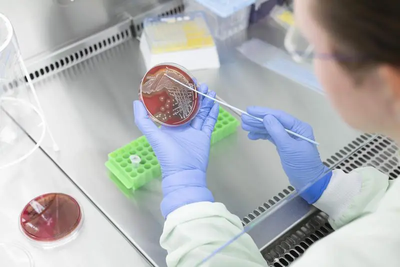 New microarray platform detects vaccine gaps and resistance with a drop of blood