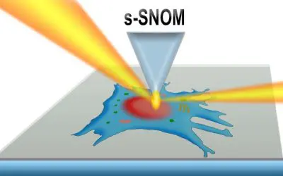 New method enables high-resolution infrared maps of living cells