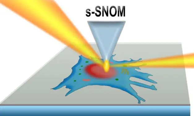 New method enables high-resolution infrared maps of living cells