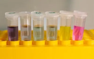 Nanotube sensors for biomedical applications