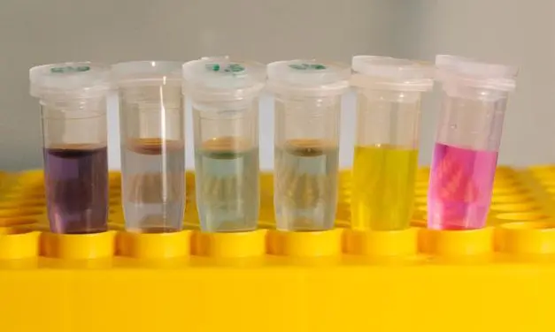 Nanotube sensors for biomedical applications