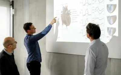 Digital twin simulates patient-specific heart