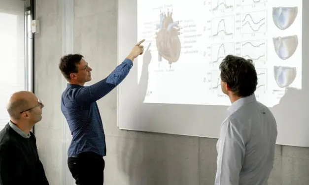 Digital twin simulates patient-specific heart