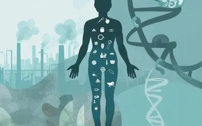 Air pollution disrupts metabolism in mice