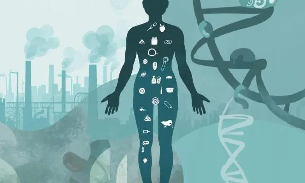 Air pollution disrupts metabolism in mice