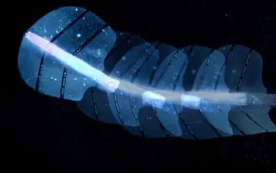 ETH researchers develop ultrasound-guided artificial muscles made of silicone