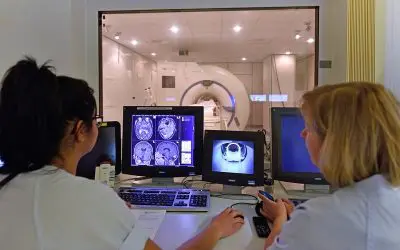 Study reveals hormonal influences on brain plasticity