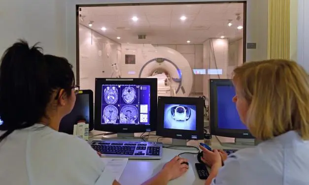 Study reveals hormonal influences on brain plasticity