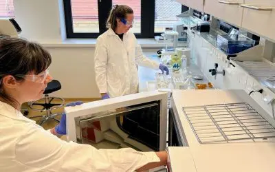 Neanderthal DNA reveals ancient migratory movements in Eurasia