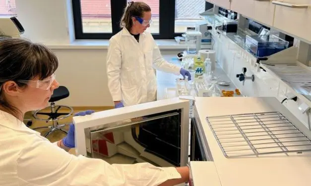 Neanderthal DNA reveals ancient migratory movements in Eurasia