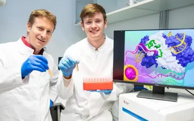 Three variants of the CRISPR-Cas9 system optimized for more targeted and effective biomedical applications