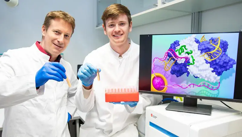 Three variants of the CRISPR-Cas9 system optimized for more targeted and effective biomedical applications